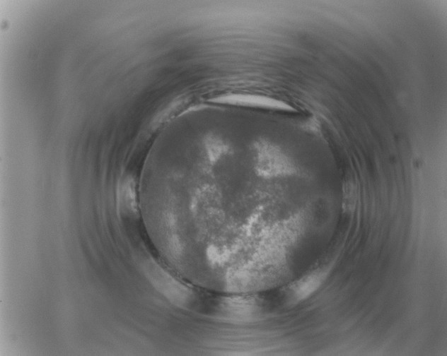 X0000064740238200602171715