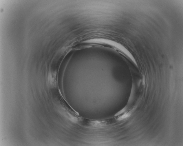 X0000064740239200602171715