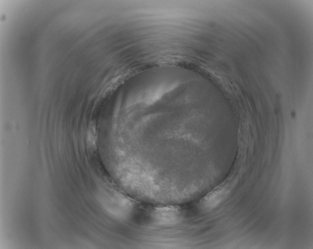 X0000064740240200602171715