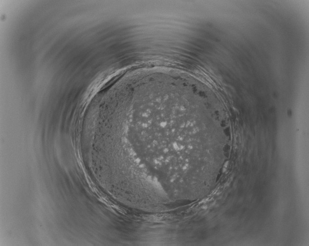 X0000064740241200602171714