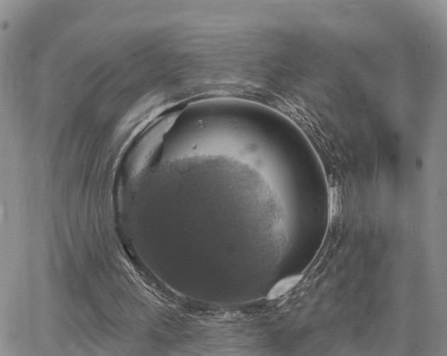 X0000064740243200602171714