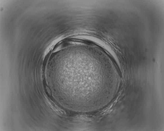 X0000064740244200602171714