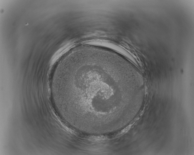 X0000064740245200602171714