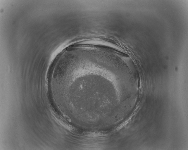 X0000064740246200602171714