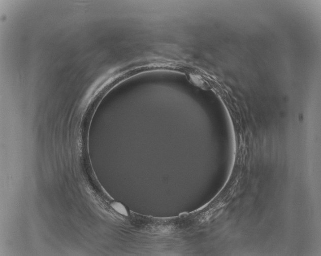 X0000064740247200602171714