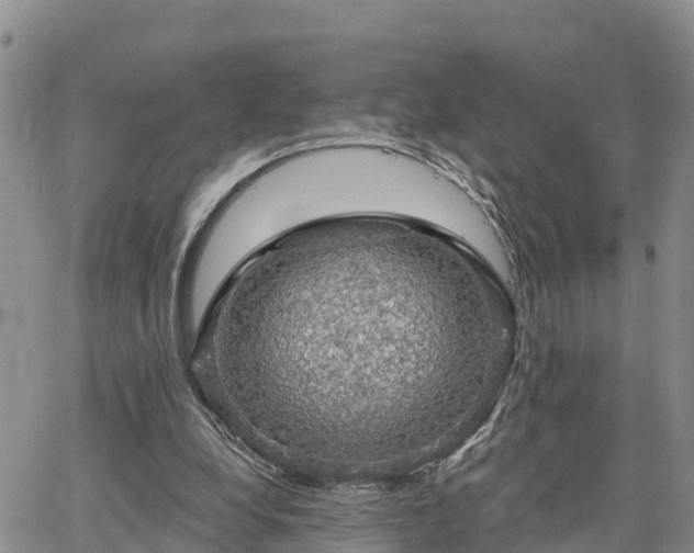 X0000064740248200602171714