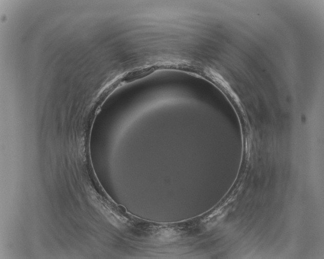 X0000064740249200602171714