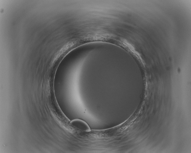 X0000064740250200602171714