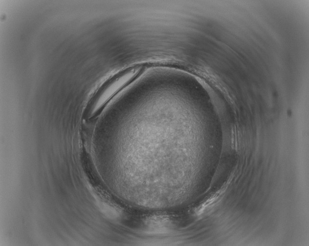 X0000064740252200602171714