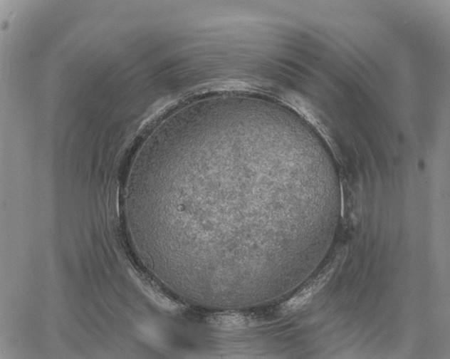 X0000064740253200602171715