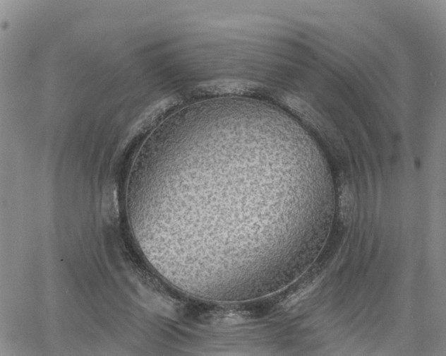 X0000064740254200602171715