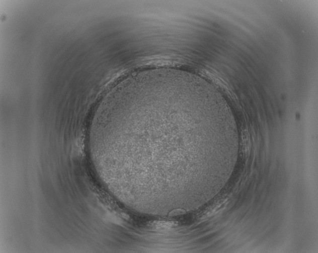 X0000064740255200602171715