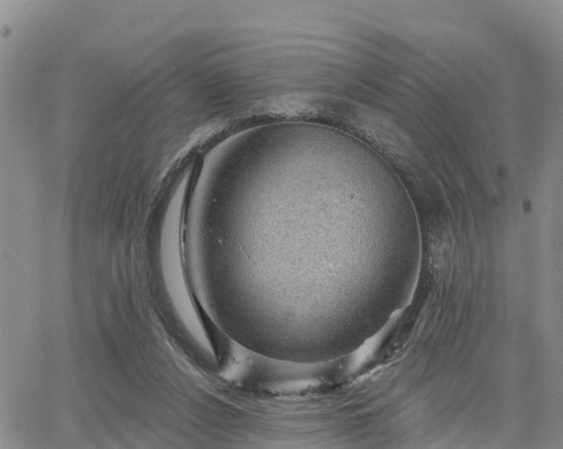 X0000064740256200602171715