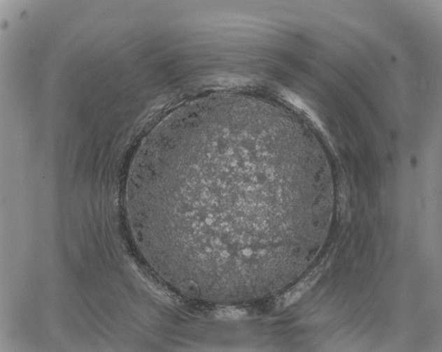 X0000064740257200602171715