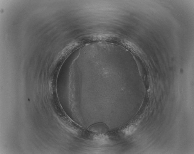 X0000064740258200602171715