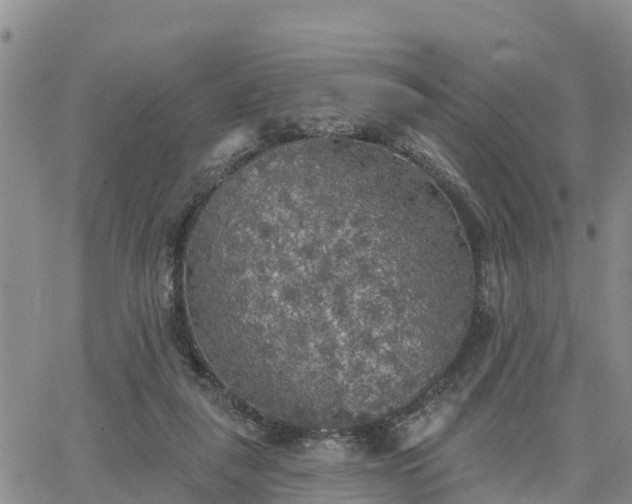 X0000064740259200602171715