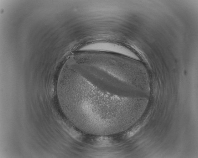 X0000064740261200602171715