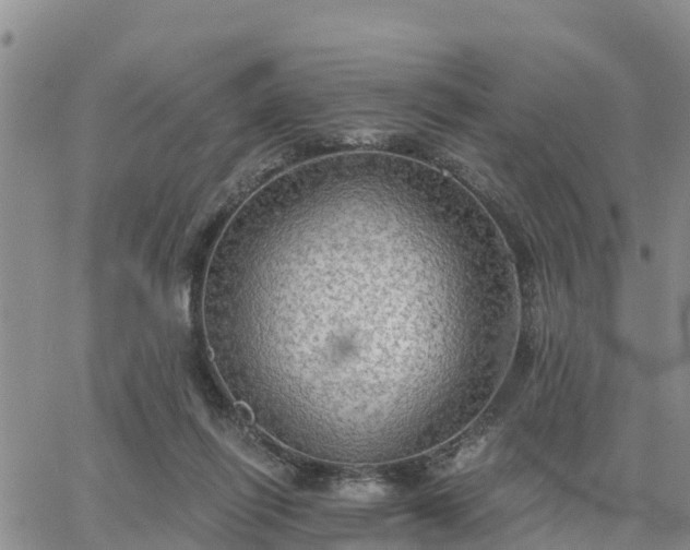 X0000064740262200602171715