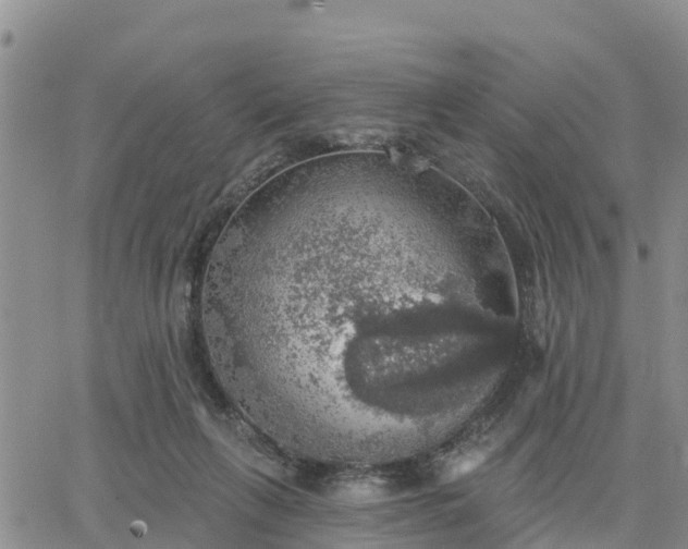 X0000064740263200602171715