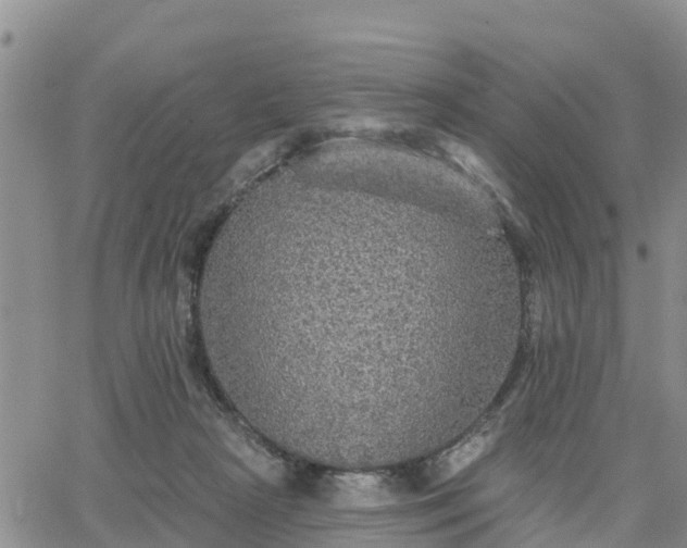 X0000064740265200602171715