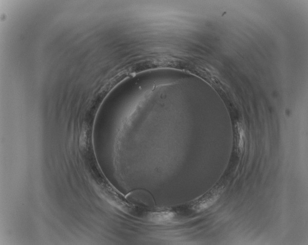 X0000064740266200602171715