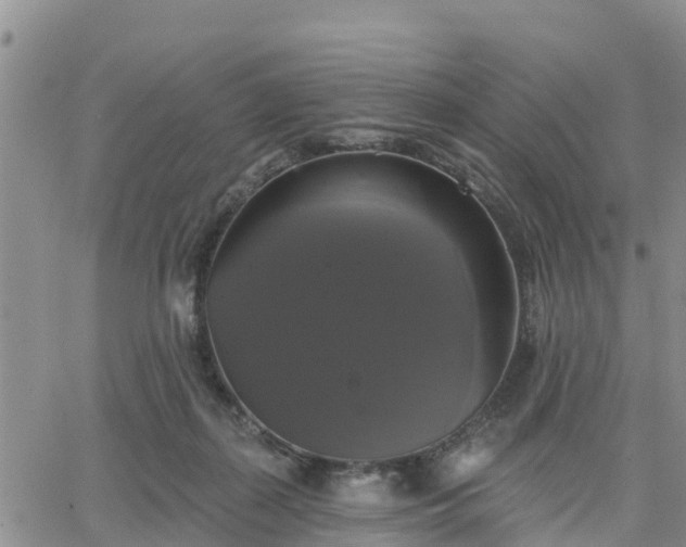 X0000064740267200602171715