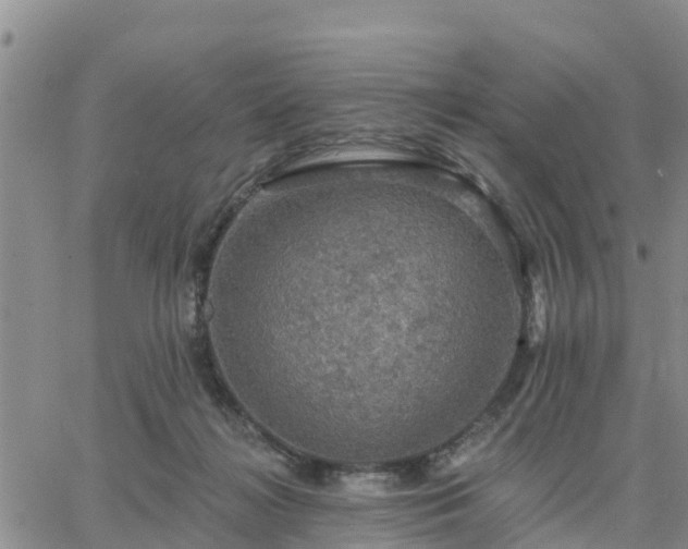 X0000064740268200602171715