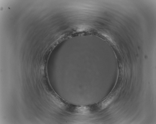 X0000064740269200602171715