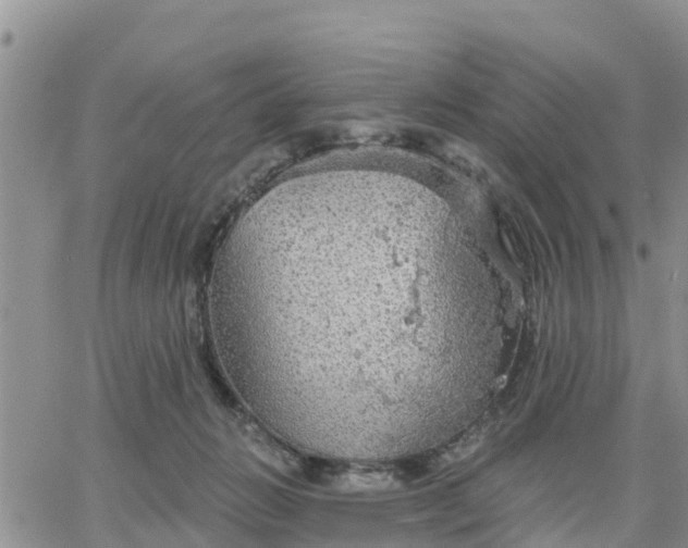 X0000064740270200602171715