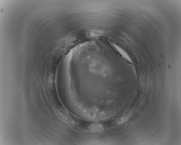 X0000064740271200602171715