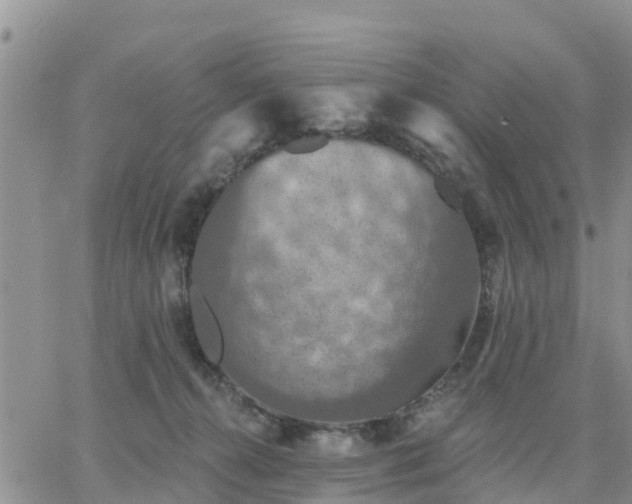 X0000064740272200602171715