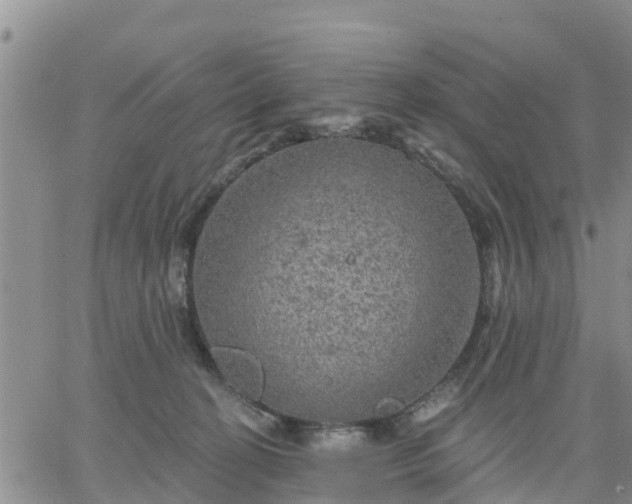 X0000064740274200602171715