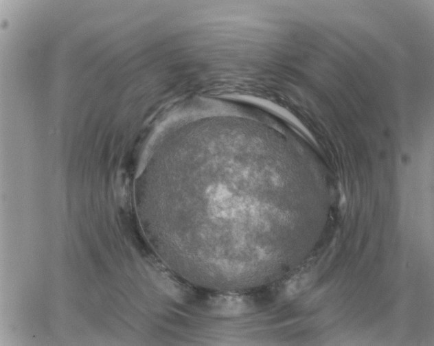 X0000064740276200602171715