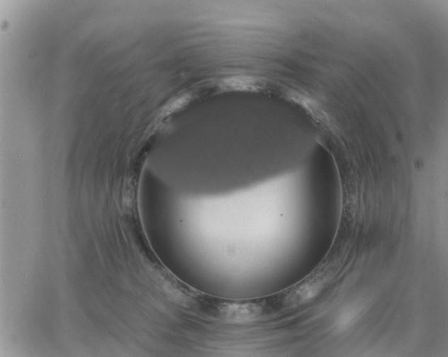 X0000064740277200602171715