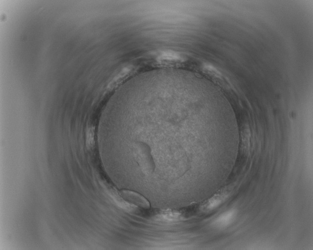 X0000064740278200602171715