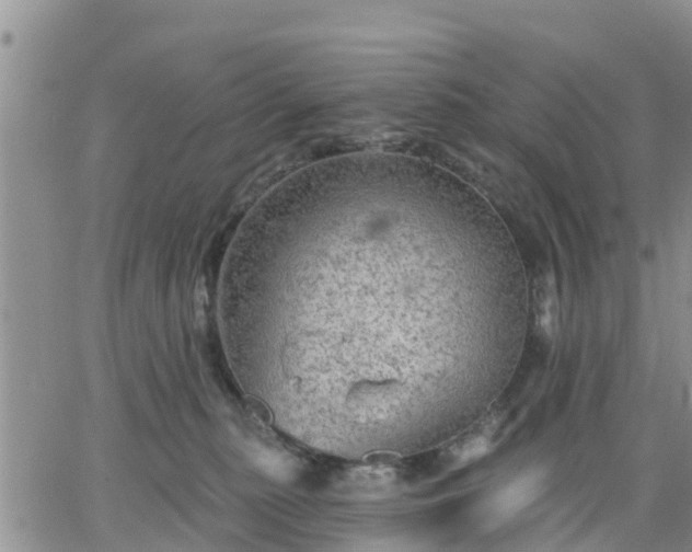 X0000064740279200602171715