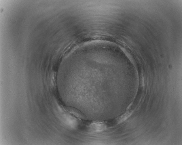 X0000064740280200602171715