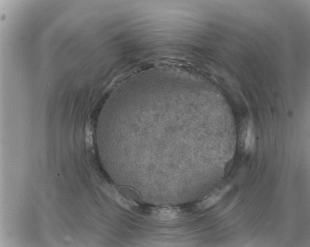 X0000064740282200602171715