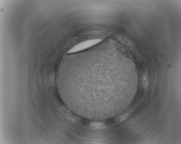 X0000064740283200602171715