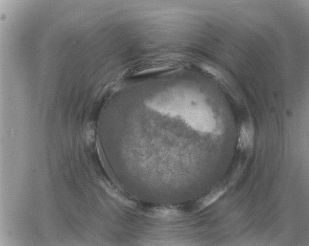 X0000064740284200602171715