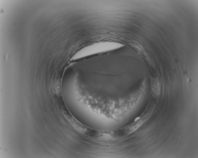 X0000064740285200602171715