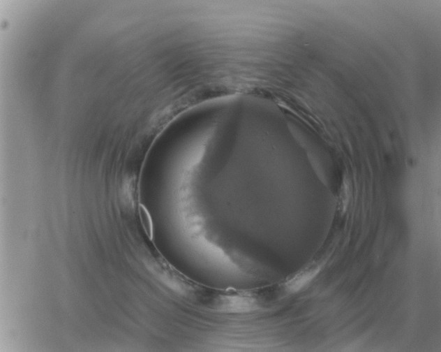 X0000064740286200602171715