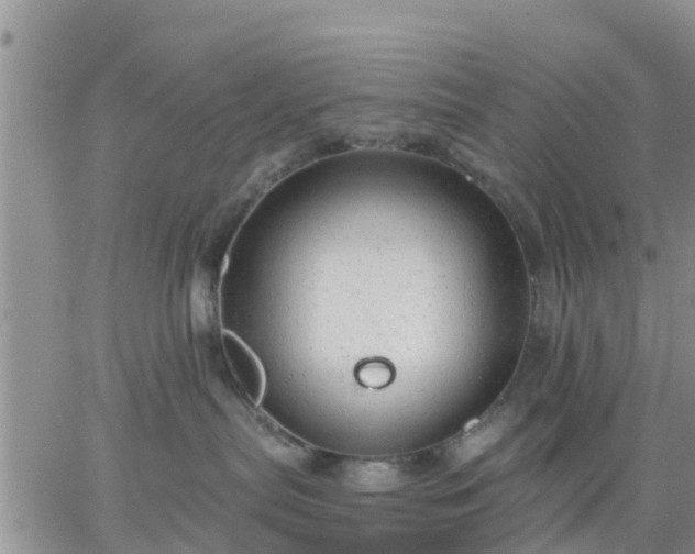 X0000064740287200602171715