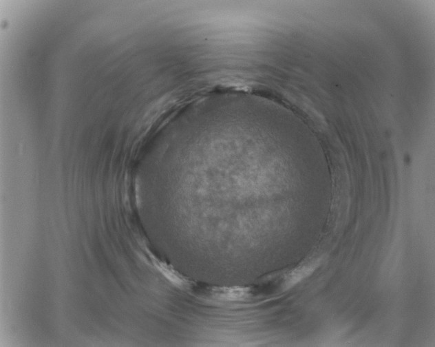 X0000064740288200602171715