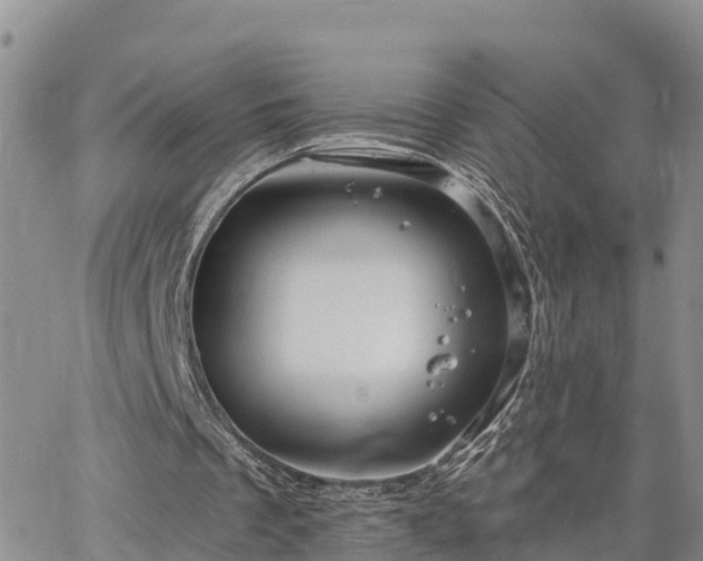 X0000064740289200602171714