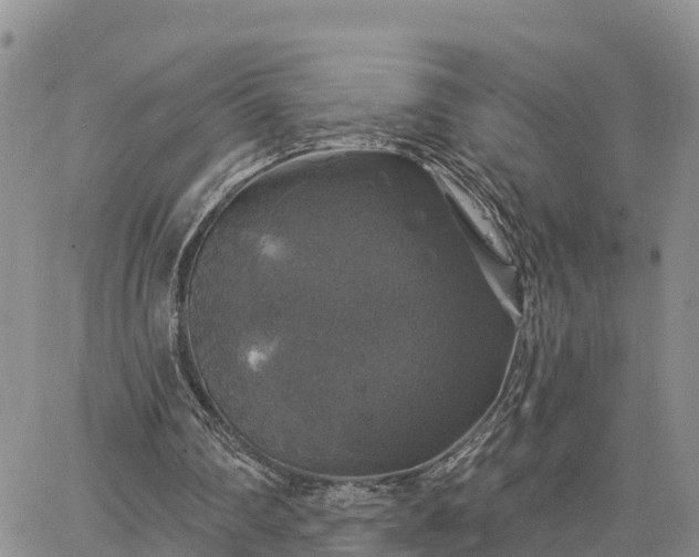 X0000064740290200602171714