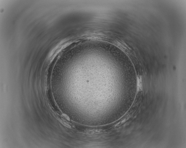 X0000064740291200602171714