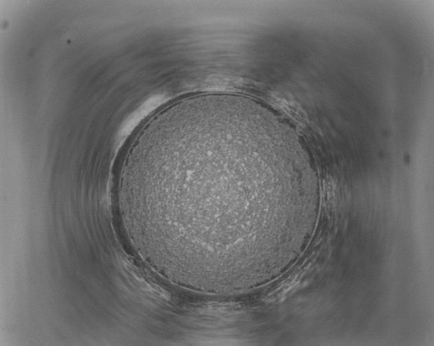 X0000064740292200602171714