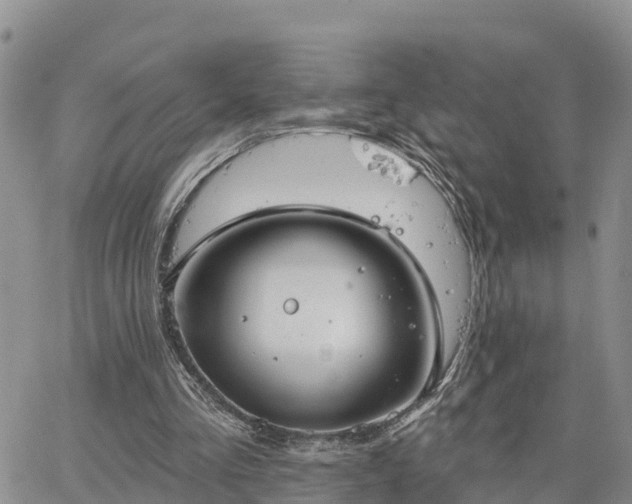 X0000064740293200602171714