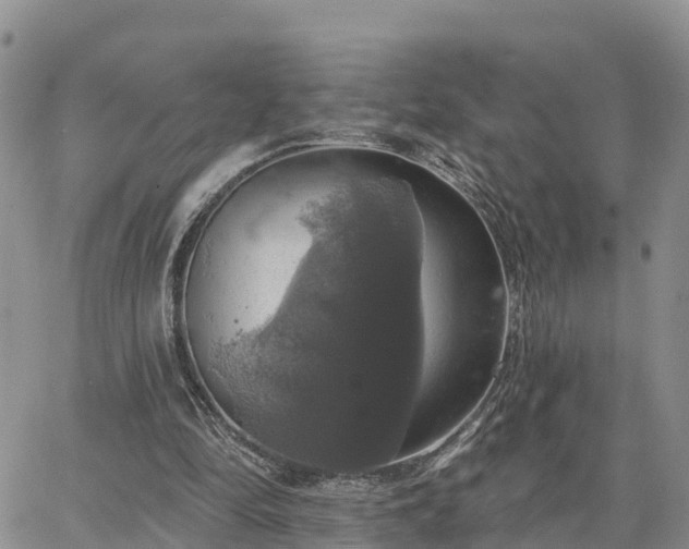 X0000064740294200602171714